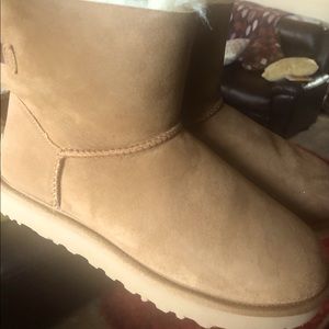 Brown UGGS NWOT